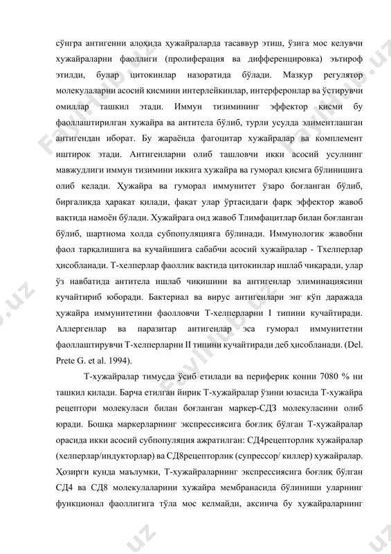94). т-лимфацитлар вазифасига қараб қуйидагиларга бўлинади: 1. т-хелпер, уларнинг кўпчилигининг мембранасида сд4 молекулалари мавжуд. улар бошқа т- ва в-хужайраларнинг ривожланишига, промеферацияси ва дифференцировкасига таъсир кўрсатади, макрофагларни фаоллаштиради. бу хужайралар молекуласи ii гурух (гистологик мос келувчи hla гурух ii) билан бирга бўлган антиген танитувчи хужайралар юзасида жойлашган антигенни билиб олади. 2. т-цитолитик хужайралар, уларнинг кўпчилигида сд8 рецептори мавжуд. бу хужайралар вирус билан зарарланган хужайраларни парчалайди ва i гурух (гистологик мос келувчи hla, гурух i) молекуласига алоқадор антигенларни билиб олади. 3. т-супрессорлар, булар бошқа т- ва в-хужайраларнинг фаолиятини пасайтиради. бу хужайраларнинг кўпчилигида сд8 рецептор мавжуд, лекин хали уларнинг умумий маркери ажратиб олинмаган. сд4 нинг кўпчилик хужайралари супрессор функцияни бажаради ва “супрессорлар индукторлари” деб номланади. т-хужайраларнинг рецепторларини экспрес кўринишига қараб, уларни яна 2 тоифага бўлиш мумкин: ткр-α-β (85-95% т хужайралар) ва ткр-γ-δ (15 %гача бўлган т хужайралар). т-хужайралар ткр-γ-δ билан биргаликда сурункали яллиғланувчи патологик жараёнларда иштирок этади. гуморал реакцияларнинг асосий хужайралари иликда вояга …