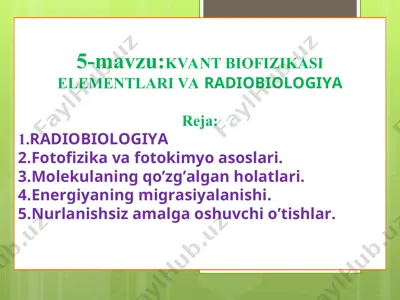 kvant biofizikasi elementlari va radiobiologiya — PPT