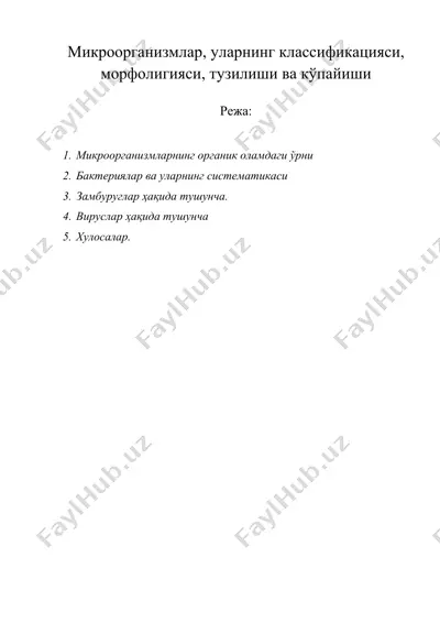 микроорганизмлар, уларнинг классификацияси, морфолигияси, тузилиши ва кўпайиши — DOC