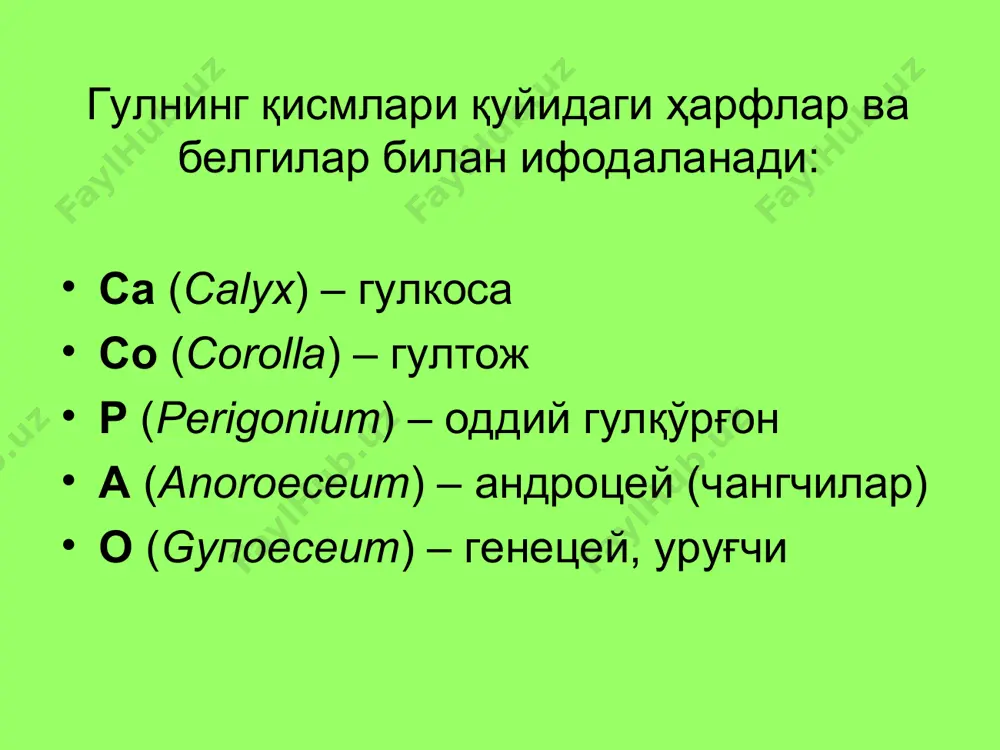 дник деревянистый, семя лежит свободно. ёнғоқ; кокос; бодом; фундук. жёлудь околоплодник менее жёсткий, чем у ореха, у основания плод окружён защитным покровом. семянка околоплодник прилегает к единственному семени, но не срастается с ним. крылатка клён и ясень берёза дон плёнчатый околоплодник срастается с семенной кожурой единственного семени. дуккак плод вскрывается двумя створками. когда боб созревает, створки его подсыхают и, скручиваясь, выбрасывают семена. стручок имеет две створки, но семена в стручке располагаются не на створках, как у боба, а на перегородке плода. кўсак мева многочисленные семена высыпаются через специальные отверстия или трещины в стенках коробочки. н а т и ж а