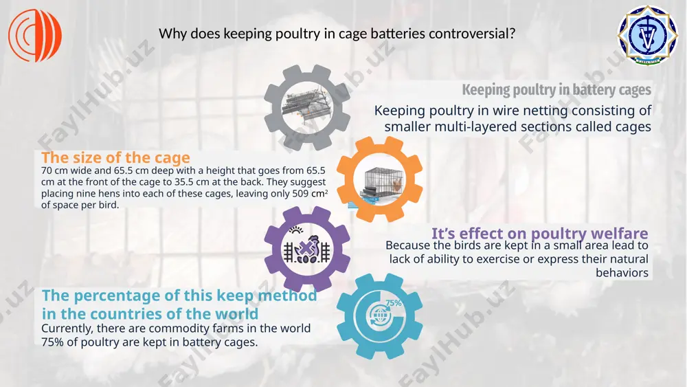 d by the battery-cage environment. engaging in comfort behavior laying hens spend most of their time to display exploratory behavior outside. exploring dustbathing keeps chickens’ feathers and skin in healthy condition. this is not possible with a battery cage. diseases caused by keeping in battery cages. hyperkeratosis it is deep epithelial lesions or swelling of the foot pads keel bone disorders deformation as a result of increased load on the sternum due to lack of roost and constant standing. cage layer fatigue the skeletal system of hens suffering from cage layer fatigue can become so weak that hens become paralyzed bone fractures poor skeletal bone mass of laying hens may have occurred as a consequence of selective breeding to maximize egg production. 10% 25% 100% 50% 75% 82% 24% 63% 42% solution keeping laying hens in battery cages of small size and unsuitable conditions causes problems related to the realization …