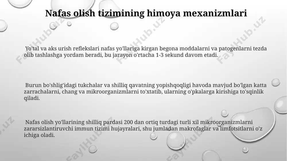 a olib keladi. nafas olish markazi miyaning uzunchoq miyasida joylashgan bo'lib, u qonning co2 miqdori va ph darajasiga sezgir bo'lib, nafas olish tezligini va chuqurligini tartibga soladi. diafragma va qovurg'alar roli diafragma nafas olishda asosiy rol o'ynaydi, uning qisqarishi natijasida ko'krak bo'shlig'ining hajmi 500 ml ga ortadi va o'pkaga havo kirishi ta'minlanadi. qovurg'alararo mushaklarning qisqarishi qovurg'alarni ko'taradi va ko'krak qafasining old-orqa va yon tomonlarining kengayishiga olib keladi, bu o'pkaga havo kirishini kuchaytiradi. diafragma va qovurg'alar birgalikda ishlab, o'pkaning taxminan 75% ga yaqin hajmiy o'zgarishlariga hissa qo'shadi, qolgan qismi esa yordamchi nafas olish mushaklarining faoliyati bilan bog'liq. alveolalar va gaz almashinuvi alveolalarning umumiy yuzasi taxminan 70-100 kvadrat metrni tashkil etadi, bu gaz almashinuvi uchun keng maydon yaratadi va samaradorlikni oshiradi. o'pka kapillyarlari devorlari yupqa bo'lib (taxminan 0,5 mikrometr), gazlarning (kislorod va karbonat angidrid) tez va samarali diffuziyasini ta'minlaydi. har bir nafas olishda taxminan 500 ml havo alveolalarga kiradi va bu havoning …