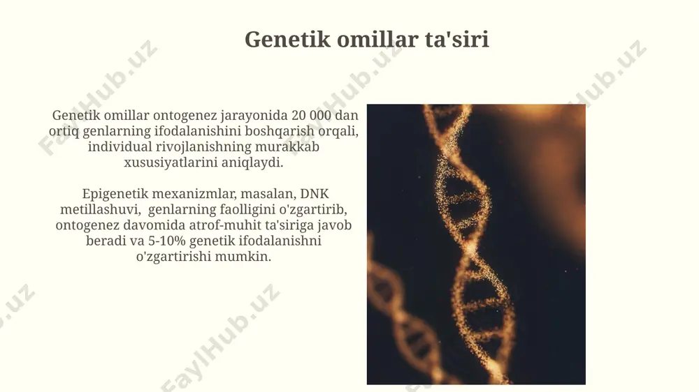 ontogenez rivojlanish xususiyatlari - Page 5