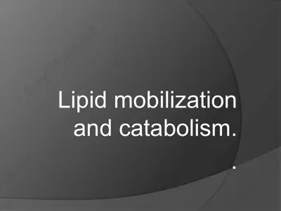 lipid mobilization and catabolism — PPTX