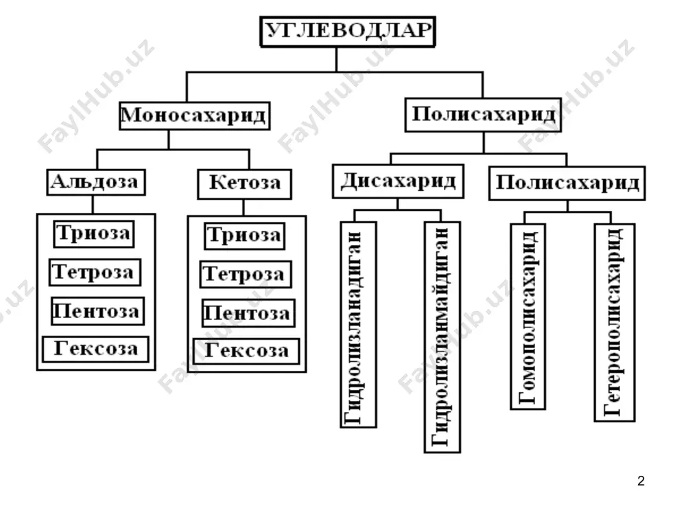 ридаги тетраэдрнинг ўнг томонида бўлса , чап томонида бўлса  ҳарфлари билан кўрсатилади. -d-гюкопираноза d-глюкоза -d-гюкопираноза -d-фруктофураноза d-фруктоза -d-фруктофураноза d ва l ҳарфлари бу ерда конфигурацияни белгилайди. + ва – ишоралари эса буришни ифодалайди. моносахаридлар молекуласини ифодалашда хеуорс таклиф этган перспектив формулалардан фойдаланиш мумкин. моносахаридларнинг олиниш усуллари 1. ди- ва полисхаридлар гидролизланганда моносахаридлар ҳосил бўлади: 2. кўп атомли спиртларни оксидлаш моносахаридлар сувда яхши эрийдиган кристалл моддалар бўлиб, кўпчилиги ширин таъмга эга. оптик жиҳатдан фаол. физик хоссалари. кимёвий хоссалари. 1. моносахаридлар қайтарилганда кўп атомли спиртга айланади. 2. моносахаридлар оксидланганда бир ёки икки асосли оксикислоталарни ҳосил қилади. 3. алкиллаш реакцияси 4. оксинитрил синтези. бу реакция ёрдамида қуйи моносаҳаридлардан юқори моносаҳаридлар ҳосил қилиш мумкин: 5. гидроксиамин таъсири. бу реакция ёрдамида юқори моносахаридлардан қуйи моносахаридларга ўтилади: 6. фенилгидразин таъсири. 7. ишқорлар таъсири. 8. глюкозага сирка ангидриди билан таъсир эттирилганда пентаацетилгюкоза ҳосил бўлади: 9. дегидратлаш реакцияси. 6. моносахаридларнинг бижғиши. 1) спиртли бижғиш: 2) сут кислотали …