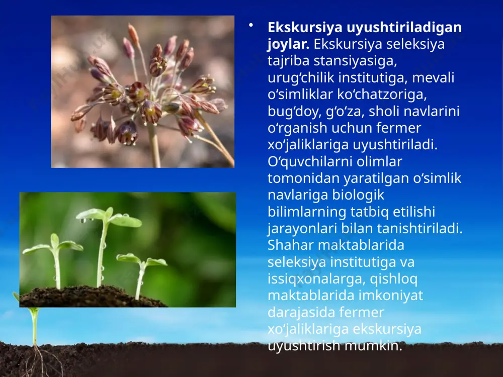 ekskursiya. o‘simliklarning yangi navlari bilan tanishtirish. 9 - sinf - Page 4