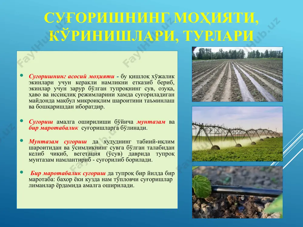 zol va isituvchi bo'ladi. novegetatsiya sug'orishlari - nam to'plovchi, haydov va ekin ekish oldi, sho'r yuvish va provokatsiya- yovvoyi o'tlarni ko'kartiruvchi sug'orishlardir. sug'orish suvi o'simlikning o'sishi davrida uning quruq massasini hosil qilish uchun ishlatiladi. qolgani o'simlikning barglari va tanasi orqali bug'lanishiga – transpiratsiyaga sarflanadi. sug'orishning tashqi muhitga, tuproq unumdorligi va o'simlik hosildorligiga ta'siri transpiratsiya – o'simliklarning barglaridan suvning bug'lanishidir. transpiratsiya koeffitsienti - o'simlikning bir birlik quruq massasini hosil qilish uchun sarflangan suv miqdoridir. noto'g'ri sug'orish – tuproq strukturasini buzadi, xavo va ozuqa rejimi buziladi, ildiz joylashgan faol qatlamdan ozuqa elementlarini pastga yuvib ketadi, sizot suvlari satxi ko'tariladi, botqoqlanish va sho'rlanish yuzaga keladi, o'simliklar hosildorligi pasayadi, tuproqning yuvilishi va atrof muxit ifloslanishiga olib keladi. sug'orish ta'sirida tuproqning agronomik xususiyatlari, suv-xavo, issiqlik, ozuqa rejimlarida, tuproqning mikrobiologik faolligi, sug'oriladigan maydonning mikroiqlim sharoitida katta o'zgarishlar bo'ladi. sug'orish tuproq zarralarini bir-birlariga yopishib turish kuchlarini o'zgartiradi. sug'orish - xududlarning mikroiqlim sharoitiga katta ta'sir etadi – atmosferaning …