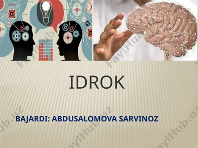 idrok — PPTX