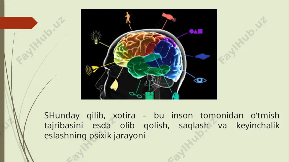 recent memory after bilateral hippocampal lesions. journal of neurology, neurosurgery, and psychiatry, 20(1), 11–21. e`tiboringiz uchun rahmat image1.jpeg image2.jpeg image3.jpeg image4.jpeg image5.jpg image6.jpeg image7.jpeg image8.jpg image9.png image10.jpeg image11.jpeg image12.png image13.jpeg /docprops/thumbnail.jpeg