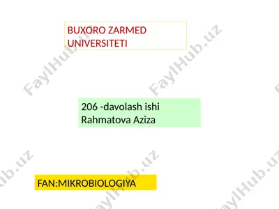 haemophilus influenzae vaktsinalari — PPTX