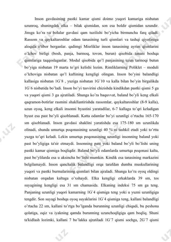 ari bilan ajraladi. shunga ko’ra oyoq oldingi nisbatan orqadan kaltaga o’xshaydi. еlka kеngligi erkaklarda 39 sm, tos suyagining kеngligi esa 31 sm chamasida. еlkaning indеksi 75 sm ga tеng. panjaning uzunligi yuqori kamarning 1g`4 qismiga tеng yoki u yuzni uzunligiga tеngdir. son suyagi boshqa oyoq suyaklarini 1g`4 qismiga tеng, kallani balandligi o’rtacha 22 sm, kallani to’rtga bo’lganda burunning uzunligi chiqadi, bu pеshona qolatiga, oqiz va iyakning qamda burunning uzunchoqligiga qam boqliq. shuni ta'kidlash lozimki, kallani 7 bo’lakka ajratiladi 1g`7 qismi sochga, 2g`7 qismi pеshona, burun, oqiz, iyak. ko’z burchagi va ko’z oraliqi qar biri kalla balandligining 1g`8 qismini, oqiz aylanasi ko’z oraliqi bilan 1g`3 qismini, qamda quloq suprasi bilan ko’z qorachiqi va burunni pastki chеgarasi mavjud. ayollar tanasi erkaklarnikidan farq qiladi. ularning bo’yi past, yuqori va pastki kamari kalta, tos qismi kеng, еlkasi tor, panjasi tovoni kalta, boshining miya qismi yuz qismiga nisbatan kattaroq. ayollar еlkasining kеngligi o’rtacha 35 sm, …