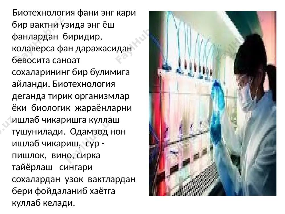 а катор фанлар - биохимия, микробиология, биофизика, молекуляр биология фанларининг ютуклари, тадкикот усуллари катта роль уйнайди. юкоридаги фанлар билан бир каторда биотехнология фани технологик жараёнлар ва техник воситаларсиз ривожини хеч куз олдимизга келтиришимиз кийин. бу фан мисли куринмаган тезликди ривожланаётганлиги туфайли катор мустакил сохаларга эга булиб бу сохалар уз навбатида алохида фан даражасига етмокда. биотехнология фанлари сохаларига биринчи навбатда ген инженерияси - рекомбинант днк олиш: уларни клонлаштирилиши, олиган ген асосида биопрепаратлар олиш, инженер энзимология - фермент препаратлари олиш, уларни стабиллаш, ферментлардан ишлаб чикаришнинг турли сохаларида куллаш, иммобилизация килинган ферментлар, уларнинг ишлаб чикаришда кулланилиши, фермент электродлар, уларнинг ахамияти, техник биоэнергетика, табиатда энергия олмашинуви ва аккумуляцияси, биологик жароёнларнинг энергия таъминоти, сувнинг биофотолизи, водород олиш, биогаз олиш, биоэнергетик жароёнлар муаммолари ва истикболлари, хужайра инженерияси, азотнинг биологик богланиши, усимликлар геномига ёт генлар киритиши, усимлик хужайраларида мутагенез ва селекция хайвон хужайраларини культураларини биотехнологияда фойдаланиш, иммунобиотехнология ва унинг усулларидан тиббиётда кулланиши, молекуляр биоэлектроника, биодатчиклар, биологик элементли …