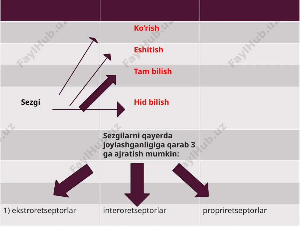 uzi, rangni ko'rish"). odamda issiqlik sezgilari alohida qo'zg'alish bilan paydo bo'ladi sovuq va issiqlik retseptorlari. ta'sirchan hislar tananing yuzasiga ta'sirini aks ettiradi va ular hayajonlangan yoki sezgir bo'lganda paydo bo'ladi sensorli retseptorlari terining yuqori qatlamida yoki kuchli ta'sir bilan bosim retseptorlari terining chuqur qatlamlarida interoretseptiv hislar ichki organlarning holatini aks ettiradi. ular orasida og'riq hissi, ochlik, tashnalik, ko'ngil aynish, bo'g'ilish va hokazo. og'riq hissi inson a'zolarining shikastlanishi va tirnash xususiyati, tananing himoya funktsiyalarining o'ziga xos namoyonidir. og'riqning intensivligi har xil bo'lib, ba'zi holatlarda juda ko'p kuchga ega bo'lib, bu hatto zarba holatiga ham olib kelishi mumkin. propriotseptiv sezgilar (mushak-skelet). bu tanamizning pozitsiyasini va harakatlarini aks ettiradigan sezgilar. muskul-skelet tizimi yordamida odam tananing kosmosdagi holati, uning barcha qismlarining nisbiy holati, tananing va uning qismlari harakati, mushaklarning qisqarishi, cho'zilishi va gevşemesi, bo'g'inlar va bog'lamlar holati va hokazolar haqida ma'lumot oladi. mushaklar-skelet tizimining sezgilari murakkab. har xil sifatdagi retseptorlarning bir vaqtning o'zida tirnash …