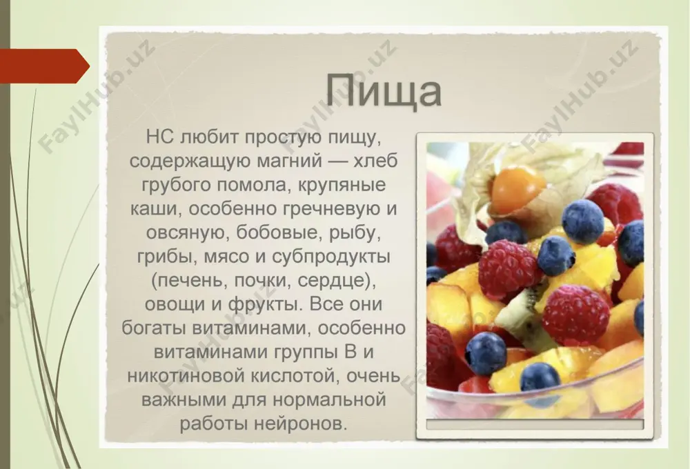важность нервной системы и гигиена - Page 3