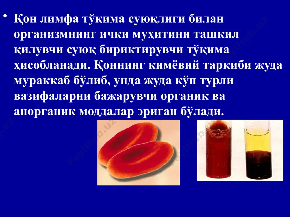 синтезланади қонни суюқ қисми органик модда углевод, ёғ ва оқсил метаболитлардан иборат: қон плазмаси таркибининг 90% сув, 7 % оқсил,-0,1% оқсил бўлмаган бирикмалар , 0,9% минерал тузлар , 9-10% қуруқ модда тўғри келади . қон плазмасида альбуминнинг нормал миқдори 40-50 г/л, глобулинлар 20-30 г/л, фибриноген 2-4 г/л. ташкил этади. қоннинг нормал рh– 7,36-7,44 шаклли элементлар 37-40% қон плазмаси оқсилларининг биологик вазифалари оқсиллар қонда коллоид-осмотик (онкотик) босимни ва қон ҳажми доимийлигини таъминлайди; плазма оқсиллари қон ивишда фаол иштирок этади; плазма оқсиллари қон қовишқоқлигини таъминлайди гемодинамик аҳамиятга эга; плазма оқсиллари бошқа буфер системалари қатори қонда ph доимийлигини сақлашда иштирок этади. плазма оқсиллари (иммуноглобулинлар) иммунитет жараёнларида муҳим рол ўйнайди; плазма оқсиллари аминокислоталар резерви вазифасини ҳам ўтайди. турли катионлар плазма оқсиллари билан диализланмайдиган комплекслар ҳосил қилиши туфайли қонда турли катионлар концентрацияси таъминланади; қонда холестерин, билирубин, ёғ кислоталарини ташишда ҳамда организмга тушган моддаларни; гурухлар оқсиллар норма г/л вазифаси альбуминлар транстиретин альбумин 0,25 58 т3 ва …