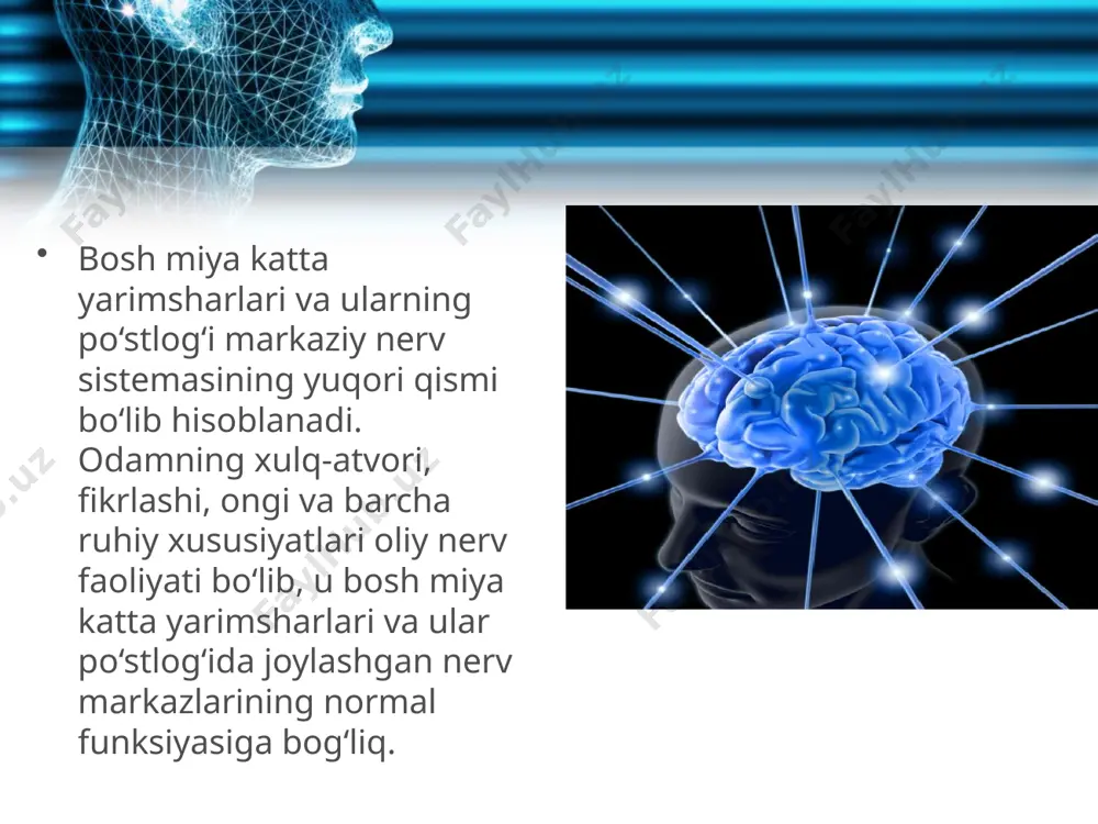 eyarli bir xil. bu reflekslar nasldan naslga o‘tadi. shartli reflekslar. shartli reflekslarning markazi bosh miya katta yarimsharlari po‘stlog‘ida joylashgan. bu reflekslar bola tug‘ilgan vaqtda bo‘lmaydi, ular odamning hayoti davomida hosil bo‘ladi. shartli reflekslarning nerv yo‘llari ham bola tug‘ilgan vaqtda bo‘lmay, keyinchalik tarbiya, bilim olish, hunar o‘rganish va boshqa hayotiy tajribalar asosida hosil bo‘ladi. shartli reflekslar shartsiz reflekslar asosida hosil bo‘ladi. shartli refleks hosil bo‘lishi uchun oldin shartli ta’sirlovchi, uning ketidan shartsiz ta’sirlovchi ta’sir etishi kerak. masalan, itda so‘lak ajralishiga shartli refleks hosil qilish uchun oldin shartli ta’sirlovchi sifatida elektr lampasi yoqilib yoki qo‘ng‘iroq chalinib, uning ketidan shartsiz ta’sirlovchi sifatida ovqat beriladi. bu tajriba bir necha marta takrorlanishi natijasida miyaning ovqatlanish markazi bilan ko‘rish yoki eshitish markazi o‘rtasida vaqtincha bog‘lanish hosil bo‘ladi. natijada elektr lampasi yonishi yoki qo‘ng‘iroq chalinishi bilanoq (ovqat berilmasa ham), itda so‘lak ajrala boshlaydi, ya’ni lampa yorug‘iga yoki qo‘ng‘iroq tovushiga so‘lak ajratuvchi shartli refleks hosil bo‘ladi. bunda elektr …