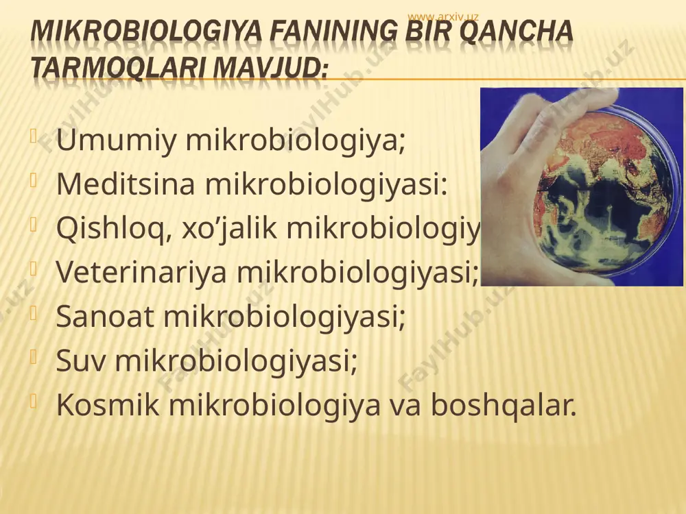 mikrobiologiya - Page 3