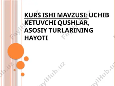uchib ketuvchi qushlar — PPTX