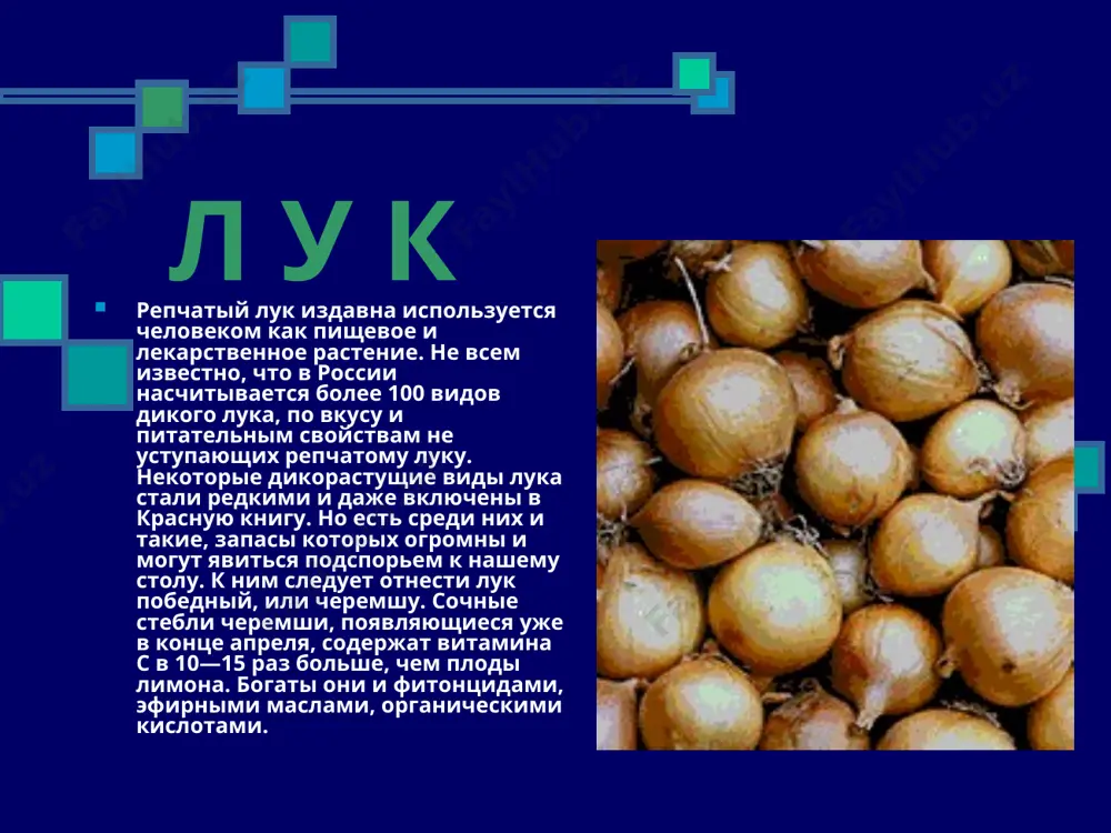 редство для лечения подагры, ревматизма, язвы желудка, малярии, зубной боли, а также для увеличения молока у кормящих матерей. легенды о пионе подвигами легендарного геракла навеяно одно из сказаний об этом красавце, крупные пурпурно-розовые цветки которого распространяют чудесный, тонкий аромат. рассказывают, что могучий герой в жестоком бою нанес тяжёлую рану богу подземного царства плутону и тот обратился за помощью к искусному врачу пеану, ученику знаменитого эскулапа. пеан вылечил плутона и тогда эскулап, одолеваемый черной завистью, решил отравить своего ученика. но плутон, узнав об этом, превратил юношу в прекрасный цветок, распускающийся каждую весну. а вот древние римляне сочинили о нем сказание, согласно которому богиня флора, собираясь в дальнее путешествие, решила оставить заместителя и собрала для этого совет цветов. все представители были единодушны в своем выборе: заместителем флоры должна быть прекрасная роза. только пион резко возражал, пыжился и надувался, чем не на шутку рассердил богиню, которая за самодовольство приказала пиону всегда оставаться толстым …