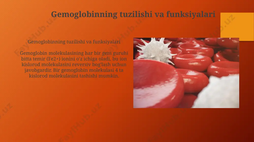 gemoglobin va uning turlari - Page 3