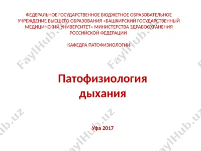 патофизиология дыхания — PPTX