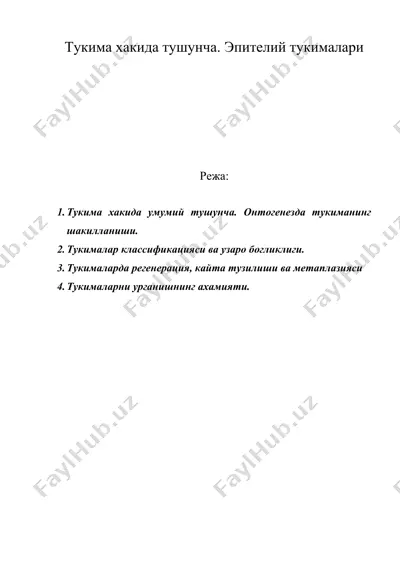 тукима хакида тушунча. эпителий тукималари — DOC