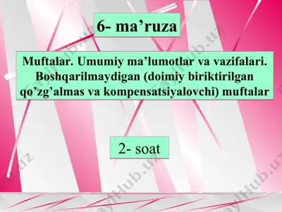 6-ma’ruza: muftalar — PPT