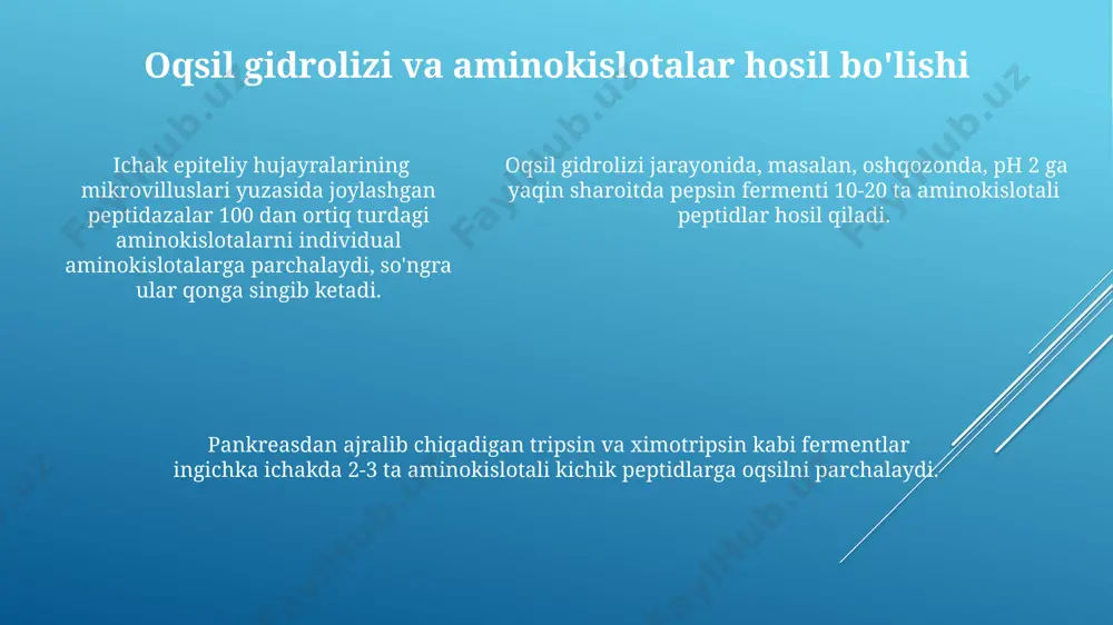 i va buyraklar orqali chiqariladi. e'tiboringiz uchun rahmat @taqdimot_robot