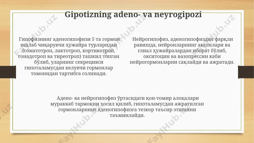 o'lib, hassal tanachalari deb ataluvchi konsentrik ravishda joylashgan epitelial hujayralar guruhlarini o'z ichiga oladi va autoimmun reaktsiyalarni oldini olishda ishtirok etadi. timo bezining korteksi epitelial kelib chiqishli, 3 ta asosiy hujayra turi: kortikal timotsitlar, nurli epitelial hujayralar va nurse hujayralarni o'z ichiga oladi va t-limfotsitlarning yetuklashuvida muhim rol o'ynaydi. pankreasning endokrin qismi ushbu orolchalarda a, b, d va pp hujayralari mavjud bo'lib, mos ravishda glyukagon, insulin, somatostatin va pankreatik polipeptid gormonlarini ishlab chiqaradi. ularning nisbati turlicha bo'ladi. b hujayralari (insulin ishlab chiqaruvchi) orolchaning markaziy qismida, a hujayralari (glyukagon ishlab chiqaruvchi) esa periferik qismida joylashgan; bu joylashuv ularning funksiyalari bilan bog'liq. pankreasning endokrin qismi taxminan 1-2 million orolcha hujayralaridan (langerhans orolchalari) tashkil topgan bo'lib, ularning umumiy massasi butun pankreasning 1-2 foizini tashkil etadi. periferik endokrin sistema organlarining gistologiyasi paratireoid bezlari paratiroid hujayralaridan tashkil topgan bo'lib, ularning 90% kalsiy metabolizmini boshqaruvchi parathormon (pth) gormonini ishlab chiqaradi. adrenokortikotropik gormon (aktg) ta'sirida, buyrak usti …