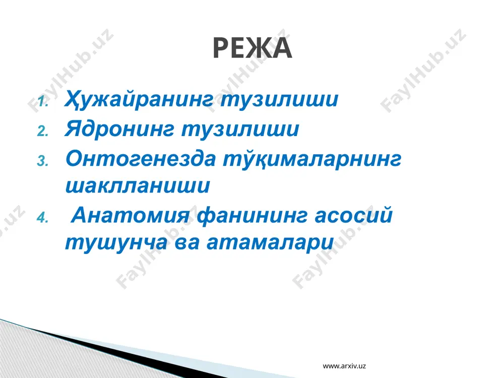лазматик тўр www.arxiv.uz центриола www.arxiv.uz ядро ҳужайрининг муҳим таркибий қисми бўлиб, унинг фаолияти цитоплазма ва органеллалар билан узвий боғлиқ. уларнинг шакли ва ўлчами ҳужайраларнинг катта-кичиклигига боғлиқ бўлади. ядронинг қобиғи икки қаватдан иборат бўлиб, ҳар бирининг қалинлиги 10 нм га тенг бўлади. қобиқ оралиғида 10-100 нм перинуклеар бўшлиқ ва деворида диаметри 80-90 нм га тенг тешикчалар бўлади. ядро таркибида мураккаб оқсиллар, липоидлар ва ферментлар бўлади. шунингдек днк ва рнк ҳужайра ҳаётида муҳим ҳаётий вазифаларни бажаради. ядронинг тузилиши www.arxiv.uz организм эмбрионал ривожланишининг дастлабки босқичларида ирсий омиллар ҳамда муҳит таъсирида эмбрион ҳужайра-лари табақаланади ва ўзига хос мураккаб тузилишга эга бўлади. кейин улар ривожланиб, ҳар хил тўқима элементлари шаклланади. тўқима шаклланиши 4 даврга: оотипик, бластомер, муртак ва тўқима даврига бўлинади. тўқима даври гистогенез ҳам дейилади. бу даврда тўқима урчуғидан ўзига хос тузилган ва тегишли вазифа бажаришга мослашган тўқималар етишиб чиқади. онтогенезда тўқималарнинг шаклланиши www.arxiv.uz www.arxiv.uz ясси эпитилей кубсимон эпитилей www.arxiv.uz цилиндрсимон эпитилей кўп қаватли …