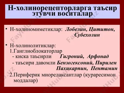 н-холинорецепторларга таъсирэтувчи воситалар — PPT