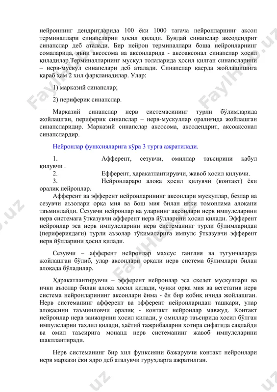 (контакт) ёки оралиқ нейронлар. афферент ва эфферент нейронларининг аксонлари мускуллар, безлар ва сезувчи аъзолари орқа мия ва бош мия билан икки томонлама алоқани таъминлайди. сезувчи нейронлар ва уларнинг аксонлари нерв импулсларини нерв системага ўтказувчи афферент нерв йўлларини ҳосил қилади. эфферент нейронлар эса нерв импулсларини нерв системанинг турли бўлимларидан (перифериядаги) турли аъзолар тўқималарига импулс ўтказувчи эфферент нерв йўлларини ҳосил қилади. сезувчи – афферент нейронлар махсус ганглия ва тугунчаларда жойлашган бўлиб, улар аксонлари орқали нерв система бўлимлари билан алоқада бўладилар. ҳаракатлантирувчи – эфферент нейронлар эса скелет мускуллари ва ички аъзолар билан алоқа ҳосил қилади, чунки орқа мия ва вегетатив нерв система нейронларининг аксонлари ёнма - ён бир қобиқ ичида жойлашган. нерв системанинг афферент ва эфферент нейронларидан ташқари, улар алоқасини таъминловчи оралиқ - контакт нейронлар мавжуд. контакт нейронлар нерв занжирини ҳосил қилади, у омиллар таъсирида ҳосил бўлган импулсларни таҳлил қилади, ҳаётий тажрибаларни хотира сифатида сақлайди ва омил таъсирига монанд нерв системанинг жавоб импулсларини …