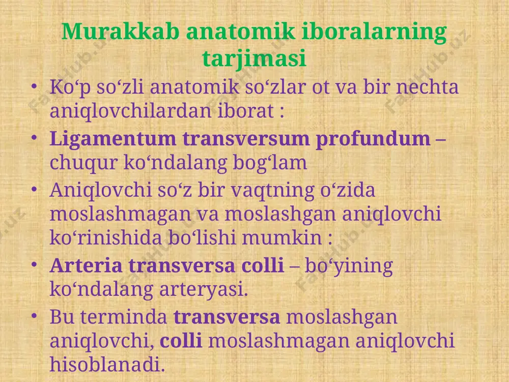 ntiruvchi muskul m. sphincter (oris,m) -qisuvchi muskul m. constrictor (oris,m) -qisuvchi muskul musculus,i,m –muskul, mushak musculi 1. m. temporalis -chakka muskuli. 2. m. orbicularis oculi -ko‘zning aylana m 3. m. zygomaticus major - yanoq katta m. 4. m. masseter - chaynov m. 5. m. depressor anguli oris -og‘iz burchagining tushyruvchi m. 6. m. sternocleidomastoideus -to‘sh-o‘mrov-so‘rg‘chsimon m. 7. m. trapezius -trapetsiyasimon m. 8. m. deltoideus -deltasimon m. 9. m. pectoralis major -ko‘krakning katta m. musculi musculi 10. m. serratus anterior -oldingi tishli m. 11. m. biceps brachii -yelkaning ikki boshli m. 12. m. brachioradials -yelka-bilak m. 13. m. flexor carpi -kaftni bukuvchi m. 14. m. extensor brevis -kalta yozuvch m. 15. m. gastrocnemius -boldir muskuli. 16. m. soleus -kambalasimon muskul. 17. m. tibialis anterior -katta boldir suyagining oldingi m. 18. m. vastus medialis -ichki serbar m. musculi 19. m. gracilis -nozik m. 20. m. sartorius -mashinachilar m. 21. m. pectineus -taroqsimon …