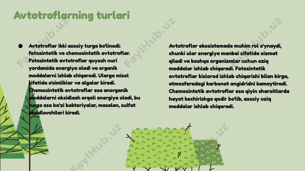 ligini oshiradi va ekosistemalarning barqarorligini ta'minlaydi. heterotrophlarni muhofaza qilish, ularning tabiiy muhitini saqlab qolish va biologik xilma-xillikni oshirish uchun zarurdir. o'zbekistonda geterotroflarni muhofaza qilish choralari sifatida, ularning yashash joylarini himoya qilish, biologik xilma-xillikni tadqiq qilish va mahalliy aholi o'rtasida tabiiy resurslarni muhofaza qilishga oid ta'lim berish kabi strategiyalarni ishlab chiqish kerak. saprofitlar va parazitlar nima? saprofitlar: ta'rif va xususiyatlar saprofitlar - o'zlari uchun o'lik organik moddalarni parchalovchi organizmlar. ular ozuqa olish usuli sifatida o'lik o'simlik va hayvon qoldiqlaridan foydalanadilar. saprofitlar ekosistemadagi muhim rol o'ynaydi, chunki ular ozuqa zanjirida moddalarni qayta tiklashi va tuproq unumdorligini oshirishga yordam berishi mumkin. ushbu organizmlar, shuningdek, boshqa heterotrof organizmlar uchun oziqa manbai bo'lib xizmat qiladi. parazitlar: ta'rif va xususiyatlar parazitlar - boshqa organizmlarda yashaydigan va ulardan oziqlanadigan hayot shakllaridir. ular, odatda, o'zlarining mezbonlaridan zarur oziq moddalarni olishadi va buning natijasida mezbonlarga zarar yetkazishi mumkin. parazitlar oziqlanish usullari bilan bir qatorda, ularning ko'plab xususiyatlari mavjud, masalan, …