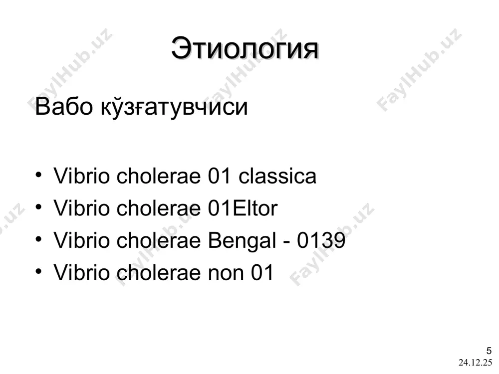 а етади. мушакларда тиришишлар тоник ва клоник типда кечади. * ўткир токсикоз белгилари билан жадал ва тўсатдан, ич кетиш ва қайт қилишсиз бошланади нерв системаси томонидан бузилишлар биринчи ўринга чиқади: турли гурух мушакларининг кучли ва тез-тез такрорланувчи тортишишлари, брудзинский, керниг симптомлари хам мусбат бўлиши мумкин қуруқ вабо * кислород етишмовчилиги тез юзага келади, асфиксия, лаб, кўл-оёқ, айниқса, охирги фалангалар цианозида намаён бўлади, сўнгра тез жадаллашиб тери ранги тўқ тус олади тери совуқ, ёпишқоқ тер билан қопланган пульс тезлашаган, юрак тонлари бўғиқ, ад кескин пасайган тили қуруқ, қорни юмшоқ, оғриқсиз. ич келиш кўпинча кузатилмайди натижа хар доим нохуш * бошланиши тўсатдан, кучли интоксикация белгилари билан кечади мушаклар, айниқса қўл-оёқ мушакларининг тортишишлари кузатилади менингиал ва энцефалитик симптомлар мусбат бўлади организмда тез сувсизланиш ва тузсизланиш клиник белгилари кузатилади ақб пасайиши ёки йўқолиши мумкин ич кетиши ва қайт қилиш кузатилади биринчи суткалар мобайнида бемор ўлиши мумкин вабонинг яшин тезлигида кечувчи шакли * * * …