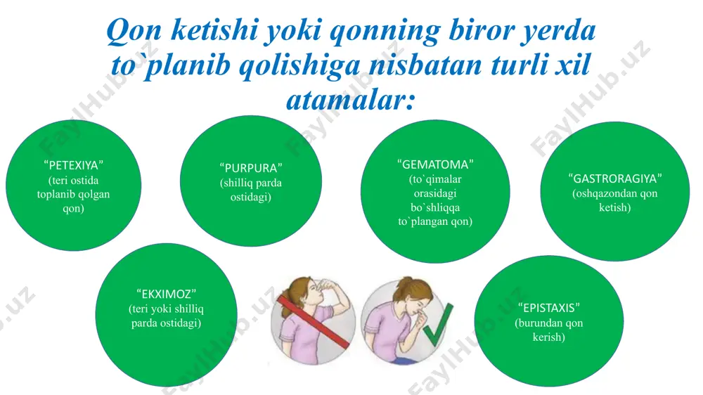 qonketishturlari va qonketishini to'xtatish usullari - Page 5