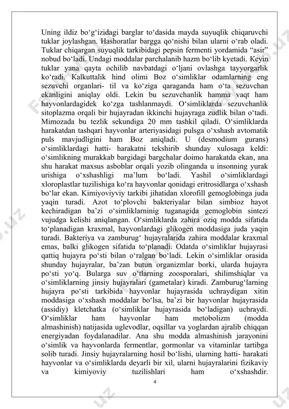 dalar parchalanib hazm bo‘lib kyetadi. кeyin tuklar yana qayta ochilib navbatdagi o‘ljani ovlashga tayyorgarlik ko‘radi. кalkuttalik hind olimi boz o‘simliklar odamlarning eng sezuvchi organlari- til va ko‘ziga qaraganda ham o‘ta sezuvchan ekanligini aniqlay oldi. lekin bu sezuvchanlik hamma vaqt ham hayvonlardagidek ko‘zga tashlanmaydi. o‘simliklarda sezuvchanlik sitoplazma orqali bir hujayradan ikkinchi hujayraga zudlik bilan o‘tadi. mimozada bu tezlik sekundiga 20 mm tashkil qiladi. o‘simliklarda harakatdan tashqari hayvonlar arteriyasidagi pulsga o‘xshash avtomatik puls mavjudligini ham boz aniqladi. u (desmodium gurans) o‘simliklardagi hatti- harakatni tekshirib shunday xulosaga keldi: o‘simlikning murakkab bargidagi bargchalar doimo harakatda ekan, ana shu harakat maxsus asboblar orqali yozib olinganda u insonning yurak urishiga o‘xshashligi ma’lum bo‘ladi. yashil o‘simliklardagi xloroplastlar tuzilishiga ko‘ra hayvonlar qonidagi eritrosidlarga o‘xshash bo‘lar ekan. kimiyoviyviy tarkibi jihatidan xlorofill gemoglobinga juda yaqin turadi. azot to‘plovchi bakteriyalar bilan simbioz hayot kechiradigan ba’zi o‘simliklarninig tuganagida gemoglobin sintezi vujudga kelishi aniqlangan. o‘simliklarda zahira oziq modda sifatida to‘planadigan kraxmal, hayvonlardagi glikogen …