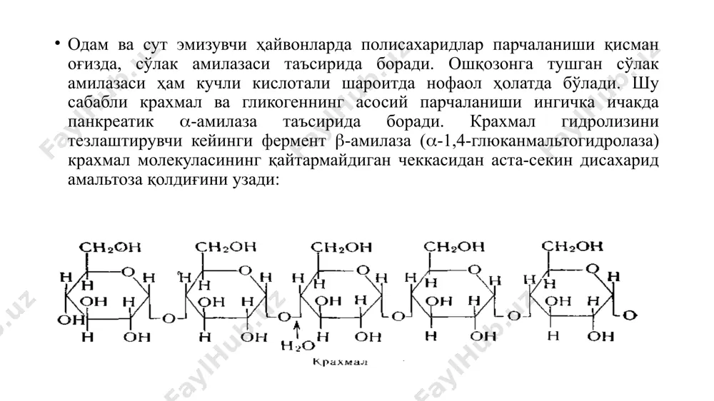а қайтаради. бу жараён атф энергиясига муҳтож. моносахаридлар алмашинуви углеводларнинг турли хилдаги ўзгаришлари глюкозадан бошланади. шу сабабли углеводлар овқат ҳазм қилиш йўлида парчаланиши натижасида ҳосил бўладиган ҳар хил монозалар (фруктоза, галактоза) изомерланиш реакцияси ёрдамида глюкозага айланади. катаболитик, анаболитик ва изомерланиш реакцияларига осон киришуви билан ажралиб туради. моносахаридларнинг фосфорланиши киназалар деб аталадиган специфик фосфотрансферазалар иштирокида атф таъсирида боради: моносахаридлар фосфорли эфирларининг изомерланиши уларнинг муҳим хусусиятидир. мускул тўқимасида глюкоза-6-фосфатнинг катта тезликда фруктоза-6-фосфатга айланиши бунга яққол мисолдир, бу реакция мувозанати 2 : 1 нисбатда қарор топади: моносахаридлар бир-бирига айланишида уридинтрифосфат муҳим роль ўйнайди. агар уларнинг фосфорли эфирлари бевосита изомерланишга учрай олмаган ҳолатларда утф билан боғланиб, уридиндифосфатшакар ҳосил қилиши моносахарид қайта ҳосил бўлишини осонлаштиради моносахаридларнинг тўқималардаги катаболитик ўзгариши углеводлар молекуласида кимёвий боғ шаклида жамғарилган энергия организм тўқималарининг эҳтиёжи учун сарфланадиган шаклга айланиши катаболитик жараёнлар жараёнида амалга оширилади. моносахаридларнинг энергетик мақсаддаги бундай деградацияси турли организмларда турлича амалга ошади. энг содда анаэроб организмлар – ачитувчи бактериялар …