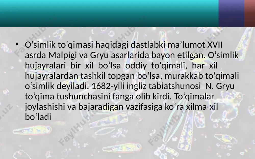 o‘simlik to‘qimalari. 5 - sinf - Page 4