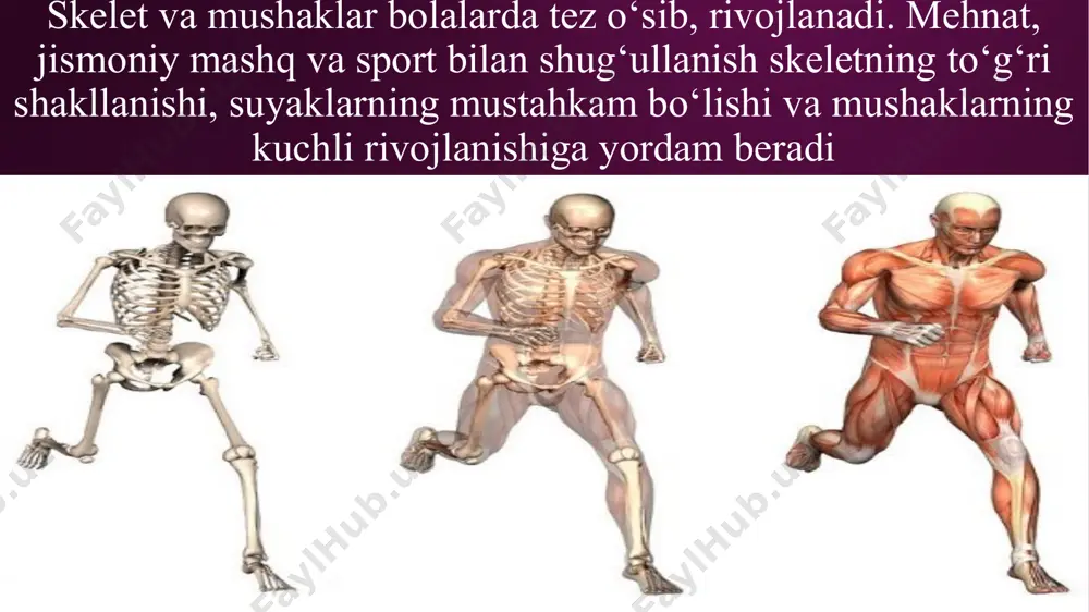 odamning tayanch-harakat sistemasi - Page 3