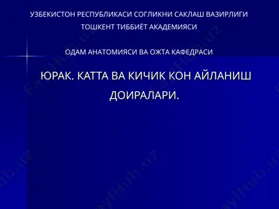 юрак. катта ва кичик кон айланиш доиралари — PPT