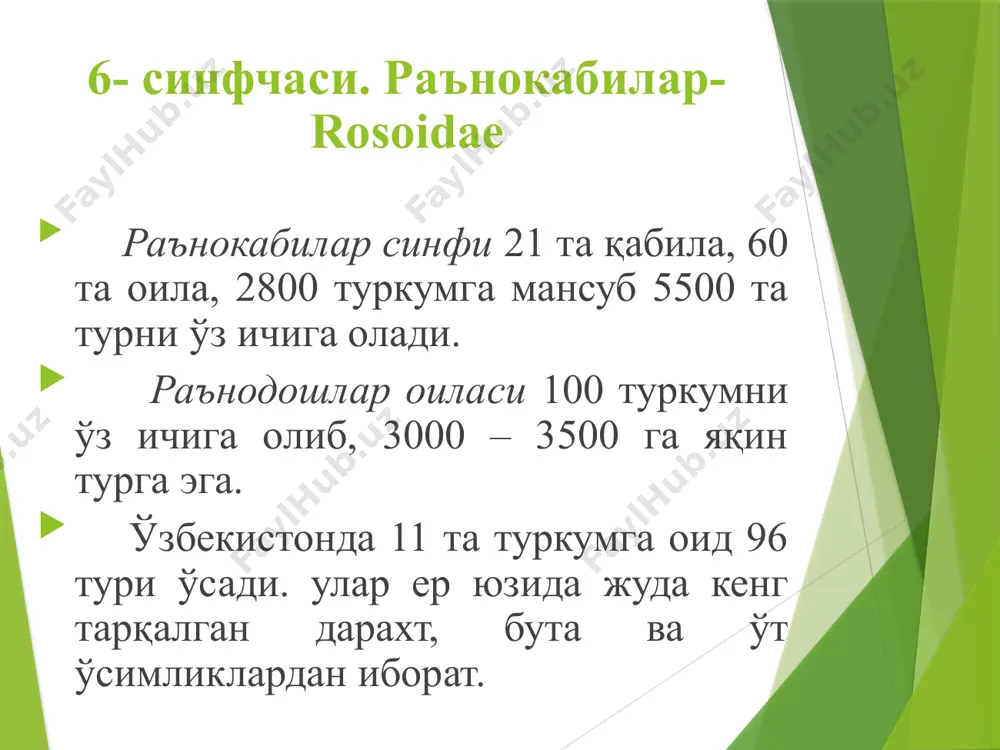 сино яраларни даволашда ва ич кетишини тўхтатишда ишлатган. яна, чанқоқни қондириш ва сафрони нормал ҳолга келтириш учун қўлланган. нокдан тайёрланган қайнатма, сок (шира) ва кисель сийдик ва ўт хайдовчи, иситмани пасайтирувчи, дезинфекцияловчи, йўтални ҳамда ич кетишини тўхтатувчи ва яллиғланишга қарши таъсир кўрсатади. халқ табобатида қаттиқ йўтал тутганда уни енгиллаштириш, иситма кўтарилганда чанқовни босиш учун ҳамда буйрак касаллигида, жигар ва ўт қопи касалликларида дори сифатида қўлланилади. меваси ўзининг дезинфекцияловчи таъсирини ичак микроблари билан бир қаторда буйрак касалликларини чақирувчи микробларга қарши таъсир кўрсатади. нафас олиш йўлларининг шамоллаш ва яллиғланишни даволашда, баҳорда пишмай тўкилган яшил, майда нок мевасидан, айниқса куртлаб дарахтдан тўкилган майда меваларидан тайёрланган қайнатма билан томоқни чайилади. бўйи 1,5 6 м ли бута. ёш новлари тукли, кейинчалик тушиб кетади. барглари тухумсимон ёки думалоқ, асоси салгина юраксимон, тўқ яшил, пастки томони кулраг тукли. ёнбаргчалари безсимон тишчали. гуллари калта бандли тўпгулларда ўрнашган. косачабарги думалоқ. меваси сариқ ёки тўқ сариқ, дастлаб тукли бўлиб, кейинчалик …