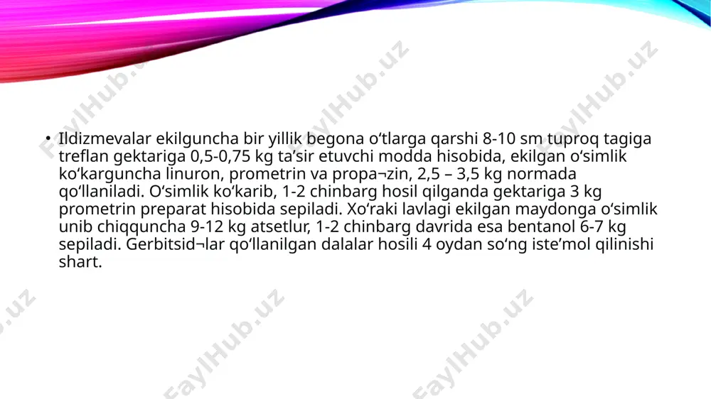 ildizmevali sabzavotlar - Page 5
