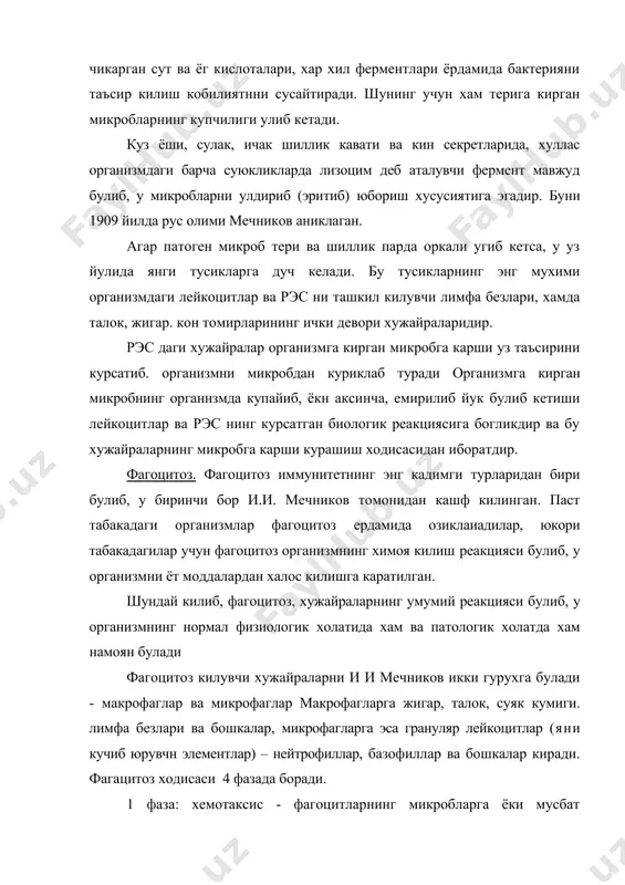 иятлари таъсирида микроблар улади. бунда асосан фагоцитлар цитоплазмасидаги cyт кислотаси микдорининг ошиши катта роль уйнайди. бу процесс энергия истеъмол килиш билан боради. 4 фаза: фагоцитга учраган объектниит ферментлар таъсирида парчаланиши бу фазада бактериялар ва бошка объектларнинг фагоцит хужайраси ичида хазм килиниши кузатилади. объектнинг (микробнинг) улиши ва хазм килиниши билан тугаган фагоцитоз ходисасига якунланган (завершенный) фагоцитоз дейилади. якунланмагаи фагоцитозда микроорганизмлар фагоцитлар томонидан ютилади, аммо халок булмайди ва хазм килинмайди. улар, айрим холларда хаёти сакланибгина колмасдан фагоцитлар (лейкоцитлар) ичида актив холда купая оладилар.бундай холларда лейкоцитлар микробларни сакловчи ва ташувчиларига айланиб коладилар ва бундай холат иммунитет хосил булишига халакит беради. фагоцитларнинг химоя функцияси канчалик кучлик булса, организм-нинг курашиш кобилияти хам шунчалик кучлик булади. орттирилган иммунитетнинг шакилланишида лейкоцитлар сонининг купайиши ва фагоцит реакциясининг активлашиши кузатилади. макроорганизмнинг ареактив холатида эса, бу ходиса кузатилмайди. шундай килиб, организмнинг иммун холатида фагоцитларнинг ахамияти коттадир антигенлар антиген (грекча anti - карши, genos - тур), организм учун генетик жихатдан ёт …