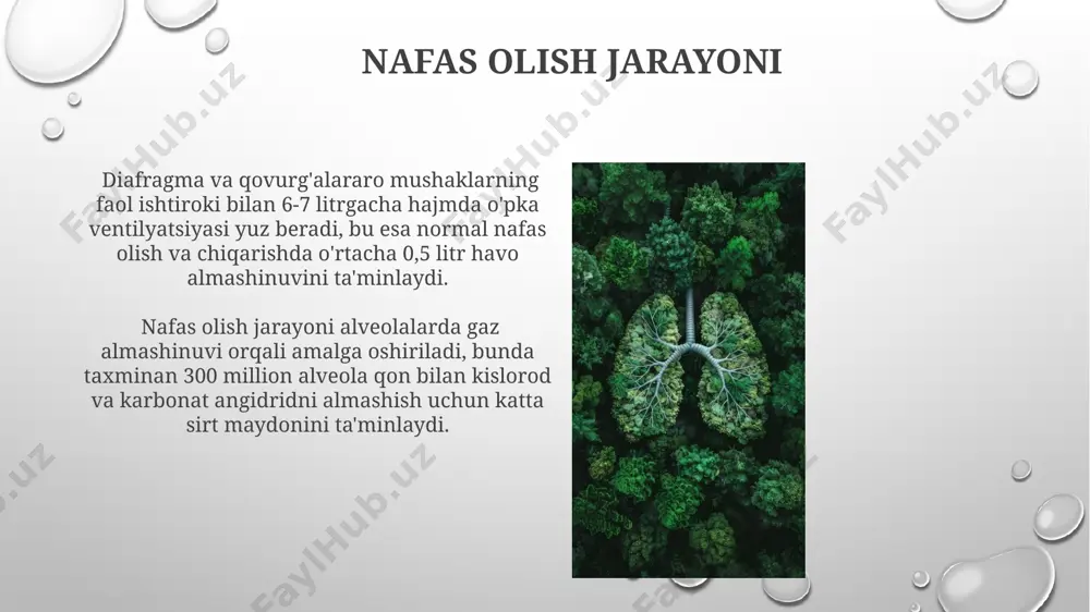 nafas olish jarayoni - Page 5