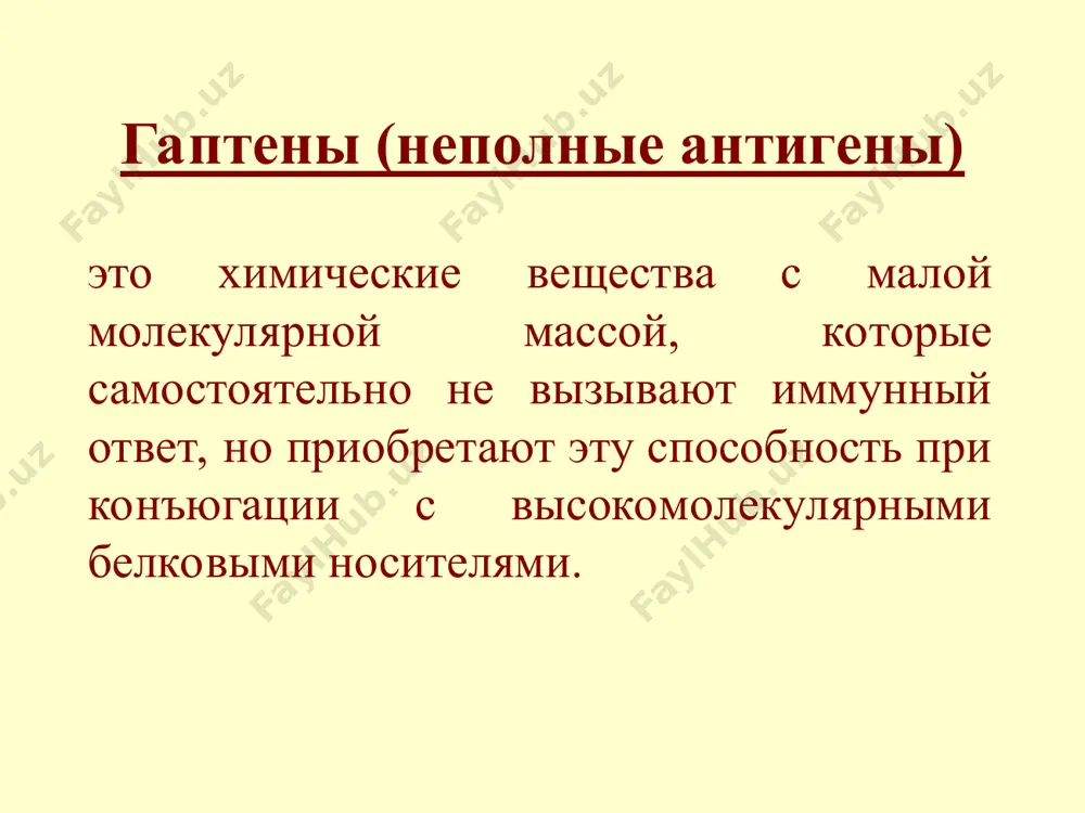 организмов и токсинов активирует компоненты комплемента проникает через плаценту составляет 75% от всех иммуноглобулинов. ig м (иммуноглобулин м) – макроглобулин, пентамер, период полураспада 5-8 дней, синтезируется на ранних стадиях иммунного ответа, эффективно агглютинирует антигены, составляет 10% от всех иммуноглобулинов. ig a (иммуноглобулин а) – существует в двух формах: сывороточной и секреторной. период полураспада 6 суток. обеспечивает защиту слизистых оболочек от инфекции. составляет 10-15% от всех иммуноглобулинов. ig е (иммуноглобулин е) – реагин, период полураспада – 2-5 суток уровень в крови увеличивается при аллергических заболеваниях. ig d (иммуноглобулин d) – большая часть связана с поверхностной мембраной в-лимфоцитов, резко увеличивается при беременности, миеломной болезни. виды антигенных детерминант иммуноглобулинов изотипические – отражают разнообразие антител на уровне биологического вида (изотипы iga, igm, igg, igd, ige). аллотипические – обусловлены генетическим разнообразием внутри вида (аллотипы igg1, igg2, igg3, igg4). идиотипические – участки в антигенсвязывающем центре молекулы иммуноглобулина, которые являются антигенными детерминантами. антитела против таких антигенных детерминант …