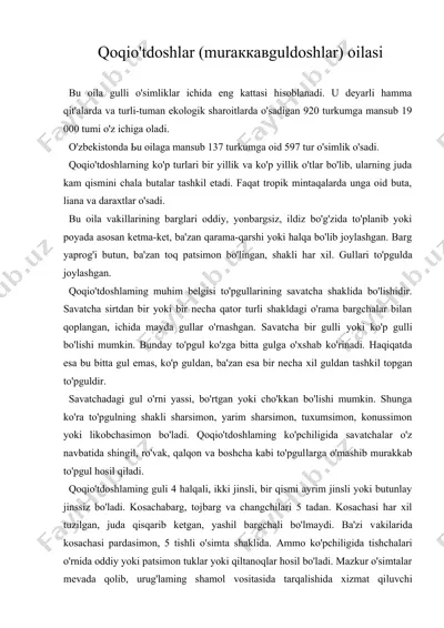 qoqio'tdoshlar (muraккaвguldoshlar) oilasi — DOC