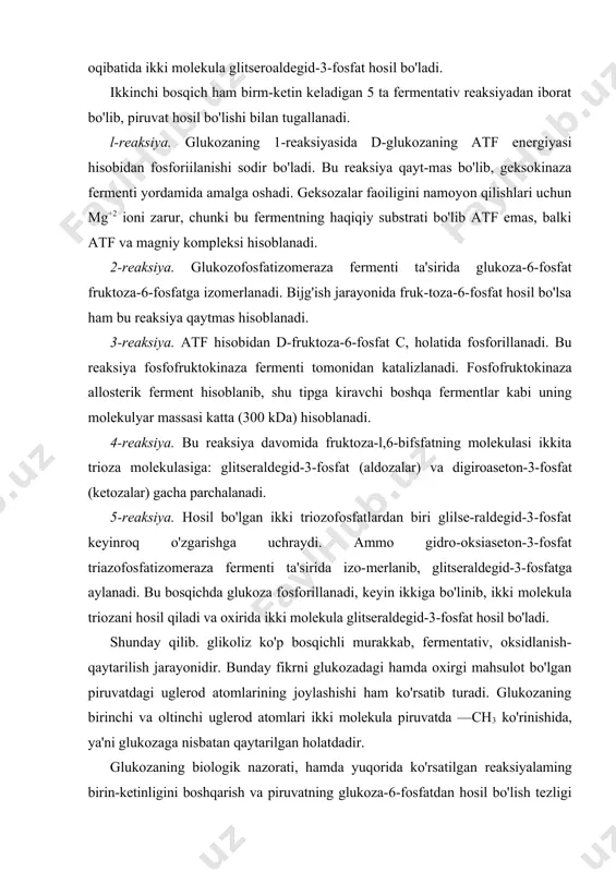 b, piruvat hosil bo'lishi bilan tugallanadi. l-reaksiya. glukozaning 1-reaksiyasida d-glukozaning atf energiyasi hisobidan fosforiilanishi sodir bo'ladi. bu reaksiya qayt-mas bo'lib, geksokinaza fermenti yordamida amalga oshadi. geksozalar faoiligini namoyon qilishlari uchun mg+2 ioni zarur, chunki bu fermentning haqiqiy substrati bo'lib atf emas, balki atf va magniy kompleksi hisoblanadi. 2-reaksiya. glukozofosfatizomeraza fermenti ta'sirida glukoza-6-fosfat fruktoza-6-fosfatga izomerlanadi. bijg'ish jarayonida fruk-toza-6-fosfat hosil bo'lsa ham bu reaksiya qaytmas hisoblanadi. 3-reaksiya. atf hisobidan d-fruktoza-6-fosfat c, holatida fosforillanadi. bu reaksiya fosfofruktokinaza fermenti tomonidan katalizlanadi. fosfofruktokinaza allosterik ferment hisoblanib, shu tipga kiravchi boshqa fermentlar kabi uning molekulyar massasi katta (300 kda) hisoblanadi. 4-reaksiya. bu reaksiya davomida fruktoza-l,6-bifsfatning molekulasi ikkita trioza molekulasiga: glitseraldegid-3-fosfat (aldozalar) va digiroaseton-3-fosfat (ketozalar) gacha parchalanadi. 5-reaksiya. hosil bo'lgan ikki triozofosfatlardan biri glilse-raldegid-3-fosfat keyinroq o'zgarishga uchraydi. ammo gidro-oksiaseton-3-fosfat triazofosfatizomeraza fermenti ta'sirida izo-merlanib, glitseraldegid-3-fosfatga aylanadi. bu bosqichda glukoza fosforillanadi, keyin ikkiga bo'linib, ikki molekula triozani hosil qiladi va oxirida ikki molekula glitseraldegid-3-fosfat hosil bo'ladi. shunday qilib. glikoliz …
