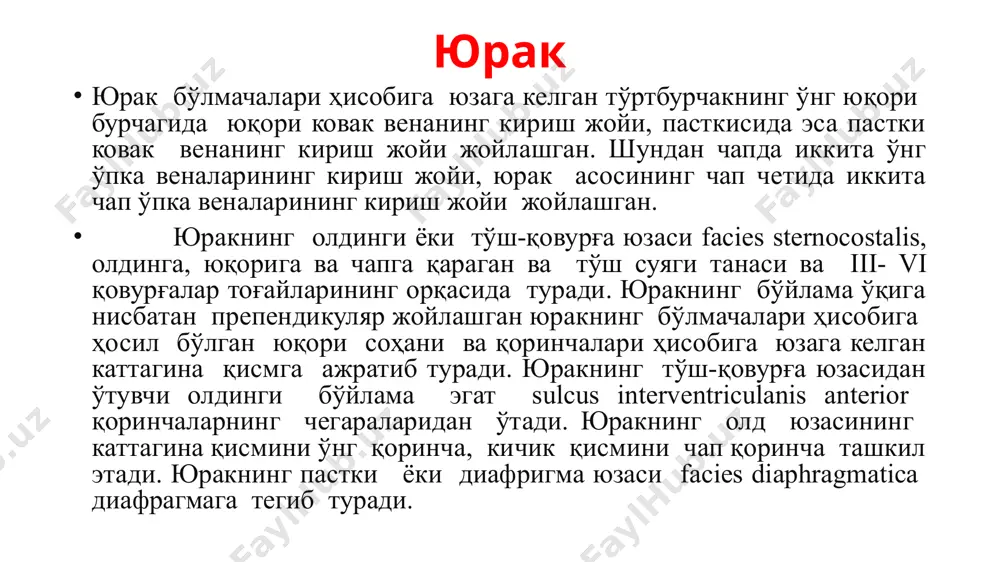 r, пастки томондан эса пастки ковак вена vena cava inferior очилади. ўнг бўлмача олд томонда юракнинг ўнг ва чап қулоқчалари аорта ва ўпка поясини асосини қамраб туради. бўлмачалар орасидаги тўсиқ septum interatriale қийшиқ жойлашган. у бўлмачанинг олд деворидан орқага ва ўнгга қийшиқ йўналади. шунинг учун ўнг бўлмача ўнг ва олдинга, чап бўлмача эса чапда ва орқада жойлашади. юракнинг ўнг бўлмачаси ўнг бўлмачанинг ички юзаси силлиқ олдинги деворининг кичкина бир қисми ва ўнг қулоқчанинг ички юзаси бундан мустасно. ўнг қулоқчанинг ички юзасида бу ердаги musculi pectinati лар борлиги учун бир неча вертикал вамеклар бор. тароқсимон мускуллар юқорида чегара қирра crista terminalis ўнг бўлмача ташқи юзасидаги sulcus terminalis га мос келади. бўлмачалараро тўсиқда овал чуқурча fossa ovalis бор. бу ботиқлик foramen ovale нинг қолдиғи ҳисобланади. она қорнида ривожланаётган ҳомила юрак ўнг бўлмачаси foramen ovale воситасида чап бўлмача билан туташади. 33% ҳолатларда foramen ovale бир умрга сақланиб қолади. юқори ва пастки ковак веналари …