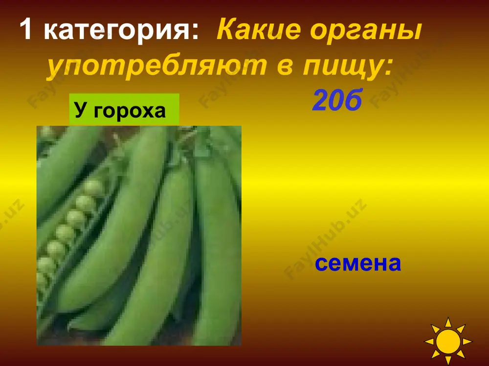 аллизуется в светло-янтарную массу. (30б) плоды этого растения любят все: от мала до велика и считают их за лакомство. (20б) фламандский ботаник лобелиус дал этому растению латинское название «геллиантус» - «цветок солнца». (10б) подсолнечник это растение она из древнейших культур. ее плоды могут сохраняться до самой весны при комнатной температуре (50б) из ее плодов готовят каши, запеканки, рагу, оладьи и даже торты. (40б) а семена – настоящее лакомство для многих людей, - обладают глистогонным действием. (30б) из плодов этого растения можно сделать посуду: тарелки, миски, кувшины и салатницы. (20б) а еще с ней связан один из самых популярных в сша детских праздников – хэллоуин. (10б) тыква одна из древнейших культур нового света - была известна человечеству ещё 12 тысяч лет назад. ее можно назвать основой развития древнейших цивилизаций америки – ольмеков, майя и ацтеков. (50б) сегодня многие национальные кухни не могут обходиться без нее: итальянская полента, румынская мамалыга, грузинская мчади, …